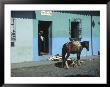 Street Scene With Horse, Antigua City, Guatemala by Judith Haden Limited Edition Print