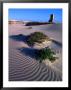 Remains Of Telegraph Repeater And Weather Station In Desert, Eucla National Park, Australia by John Banagan Limited Edition Print