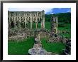 Rievaulx Abbey 12Th Century Cistercian Monastery, North York Moors National Park, England by Grant Dixon Limited Edition Pricing Art Print