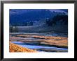 Lamar River Valley With Bison Crossing In Distance, Yellowstone National Park, U.S.A. by Christer Fredriksson Limited Edition Print