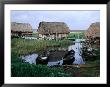 Houses On Stilts, Porto Novo, Oueme, Benin by Jane Sweeney Limited Edition Print