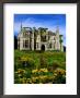 Dunboy Castle Ruins With Wildflowers In Foreground, Castletownbere, Ireland by Richard Cummins Limited Edition Pricing Art Print
