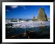 Rialto Beach, Rock Formations And Driftwood In The Wet Sand In Olympic National Park, Washington by Mark Newman Limited Edition Pricing Art Print