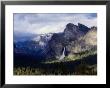 Pine Tree-Lined Valley And Grey Granite Walls Of Discovery View, Yosemite National Park, California by Curtis Martin Limited Edition Print