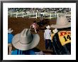 Overhead Of Bull Rider From The Stands Of A Rodeo, Mt. Isa, Australia by Michael Coyne Limited Edition Print
