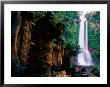 Air Terjun Gitgit Waterfall Near Lovina, Lovina, Indonesia by Tom Cockrem Limited Edition Pricing Art Print