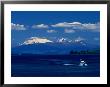 Boat Sailing With Mt. Ruapehu, Mt. Ngauruhoe And Mt. Tongariro In Background, New Zealand by Barnett Ross Limited Edition Print