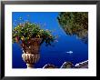 Flowers In Bloom On Terrace Of Hotel San Pietro, Positano, Italy by Dallas Stribley Limited Edition Print