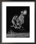 Muzzled Greyhound Captured At Full Speed By High Speed Camera In Race At Wonderland Track by Gjon Mili Limited Edition Print