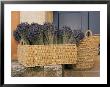 Basket Full Of Herbs by Nicole Duplaix Limited Edition Print