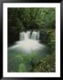 Rain Forest Waterfall, Costa Rica by Michael Melford Limited Edition Print