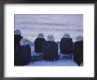 A Group Of Bald Eagles Rest On A Breakwater In Homer by Norbert Rosing Limited Edition Print