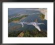 Patuxent Naval Air Strike Command Jets Over Point Lookout by Robert Madden Limited Edition Print