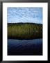 Shoreline And Clouds Reflected In The Still Waters Of Rainbow Lake by Sam Abell Limited Edition Print