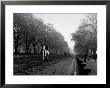 Rider On Horseback In Hyde Park by Bill Brandt Limited Edition Pricing Art Print