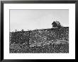 East German's Hand Reaching Over Glass Shards Embedded In Top Of The Newly Constructed Berlin Wall by Paul Schutzer Limited Edition Print