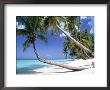 Pigeon Point, Tobago, Trinidad And Tobago by Peter Adams Limited Edition Print