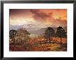 Borrowdale, Lake District, Cumbria, England by Peter Adams Limited Edition Print