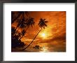 Sunset At Pigeon Point, Tobago, Caribbean by Terry Why Limited Edition Print