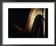Harp by John T. Wong Limited Edition Print