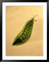 Peas by Rick Raymond Limited Edition Print