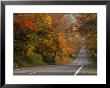 Autumn Foliage Adorning, Potomac Highland, Wv by Everett Johnson Limited Edition Pricing Art Print