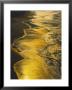 Golden Surfline, Ocean Beach, San Francisco by Jules Cowan Limited Edition Pricing Art Print