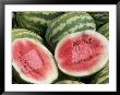 Watermelons by Mark Gibson Limited Edition Pricing Art Print