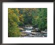 Blackwater Falls, Wva, Early Autumn by Robert Finken Limited Edition Print