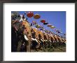The Great Elephant March, Trissur, Kerala, India by David Ball Limited Edition Print