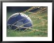 Soccer Ball In Net by Fogstock Llc Limited Edition Print
