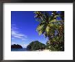 Paria Beach, Trinidad by Timothy O'keefe Limited Edition Pricing Art Print