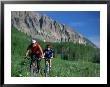 Two Women Mountain Biking, Snodgrass Mountain, Co by Tom Stillo Limited Edition Pricing Art Print