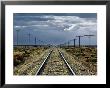 Train Near Flinders Ranges, Australia by Peter Walton Limited Edition Print