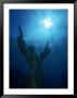 Christ Of The Abyss Statue, Pennekamp State Park, Fl by Shirley Vanderbilt Limited Edition Print