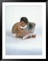 Baby Reading Newspaper by David Davis Limited Edition Pricing Art Print