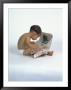 Baby Reading Newspaper by David Davis Limited Edition Print