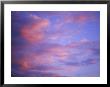 Pink Clouds At Sunset by Mark Windom Limited Edition Pricing Art Print