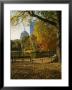 Public Gardens In The Fall, Boston, Ma by James Lemass Limited Edition Print