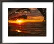 Sunset On The Ocean With Palm Trees, Oahu, Hi by Bill Romerhaus Limited Edition Print