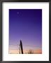 Fence, Sunrise And Moon, Texas by Kevin Leigh Limited Edition Print