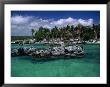 Xel-Ha Marine Park, Cancun, Mexico by Angelo Cavalli Limited Edition Pricing Art Print