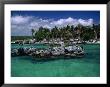 Xel-Ha Marine Park, Cancun, Mexico by Angelo Cavalli Limited Edition Print