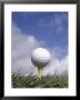 Golf Ball On Tee by Steve Wanke Limited Edition Print