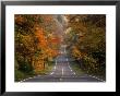 Route 15, Scenic Highway, Potomac Highland, Wv by Everett Johnson Limited Edition Print