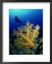 Great Barrier Reef Scene, Australia by David B. Fleetham Limited Edition Print