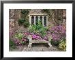 Bench, Stone Seat & Phlox On Patio, Window by Christopher Fairweather Limited Edition Print