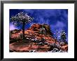 Clearing Winter Storm, Zion National Park, Ut by Russell Burden Limited Edition Pricing Art Print
