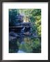 Glade Creek Grist Mill, Babcock State Park, Wv by Vic Bider Limited Edition Print