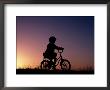 Girl On A Bike, Silhouetted, Melbourne, Australia by Michael Coyne Limited Edition Pricing Art Print